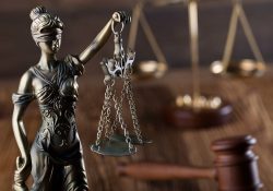 STJ determina que candidato cotista excluído de concurso volte a concorrer à vaga pública