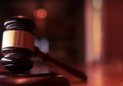 Não incidem juros de mora entre a expedição do precatório e o término do exercício financeiro seguinte, entende STF