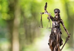 Comemoramos o Dia do Advogado juntos com os nossos clientes